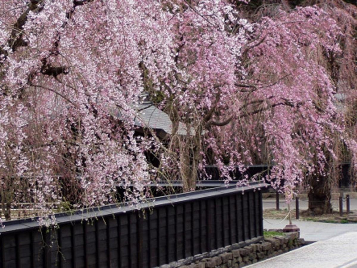 Tamachi Bukeyashiki Hotel - Vacation Stay 20163V Daisen  Buitenkant foto
