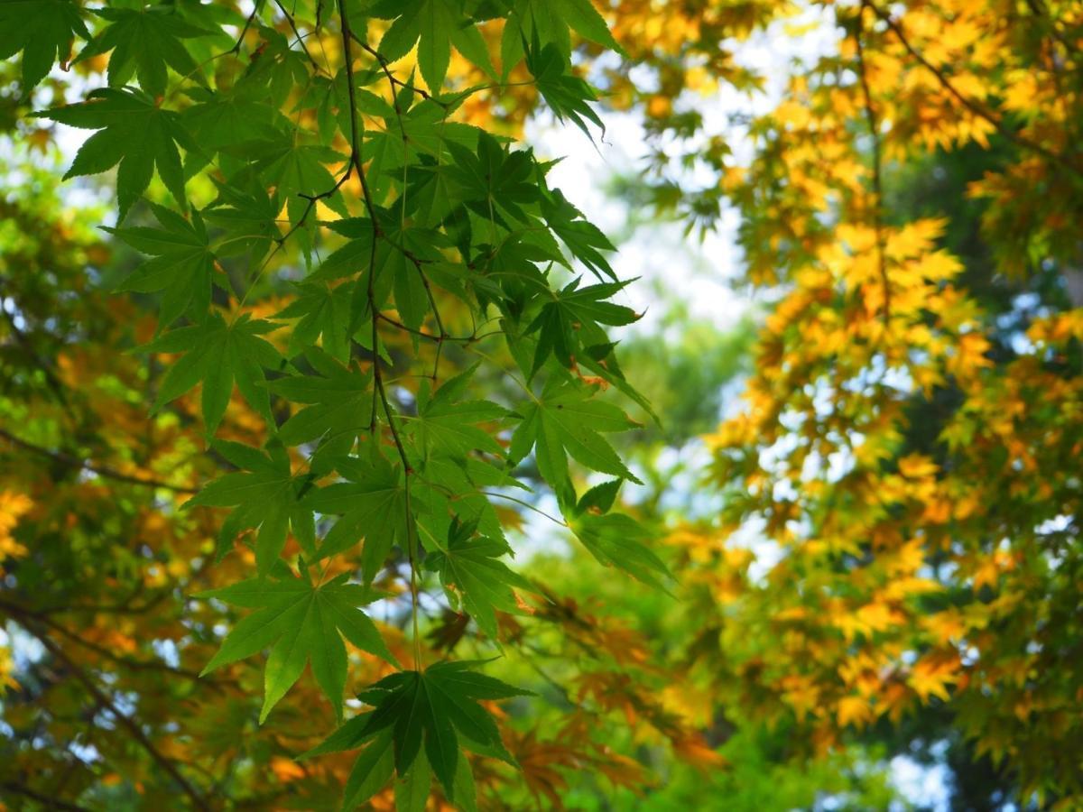 Tamachi Bukeyashiki Hotel - Vacation Stay 20163V Daisen  Buitenkant foto