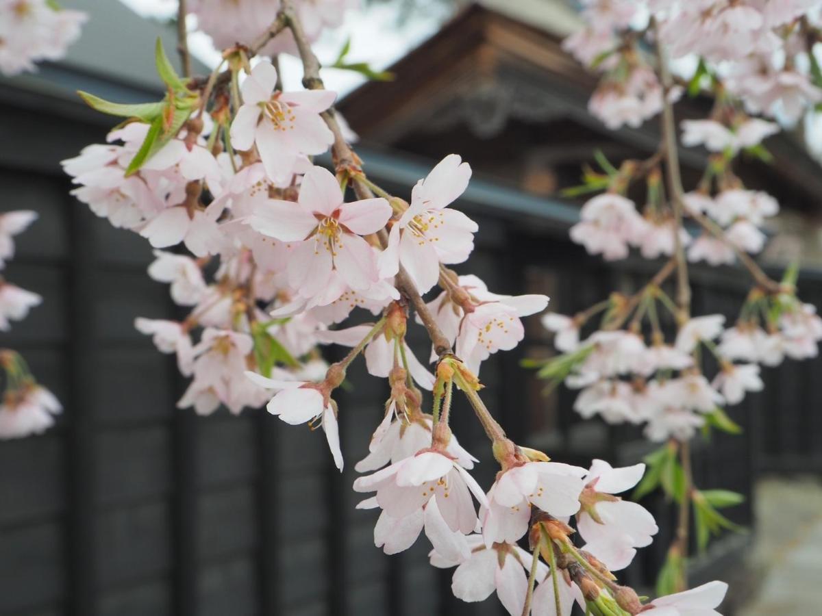 Tamachi Bukeyashiki Hotel - Vacation Stay 20163V Daisen  Buitenkant foto